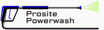 PROSITE Power Wash